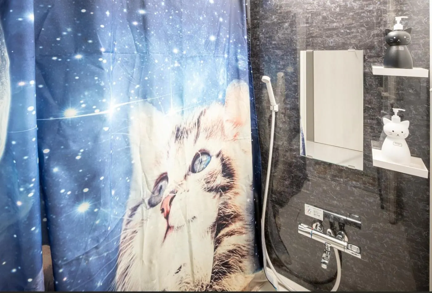Tokyo Skytree Cat House Apartment