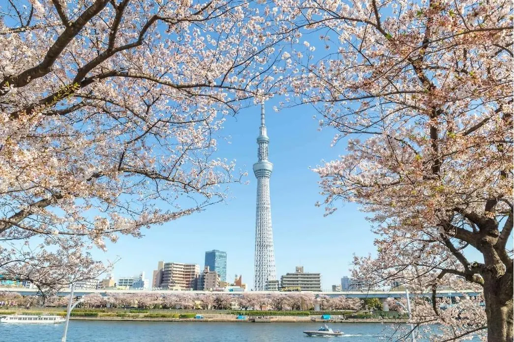 Tokyo Skytree Cat House Διαμέρισμα 0*,